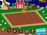 Vegetable farm 2