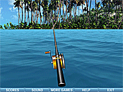 Sea Fishing Tropical