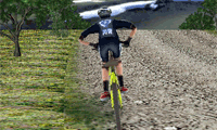 3D Mountain Bike