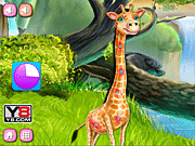 Giraffe Medical Care