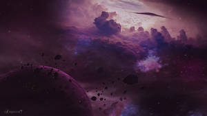 Purple Cosmos