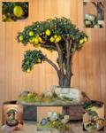 Miniature lemon tree (glassbell)