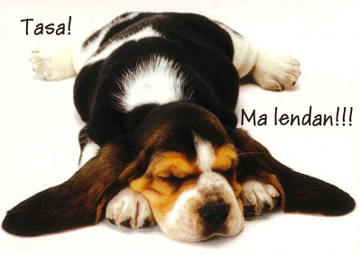 http://1.bp.blogspot.com/_sxZMNktnvCs/RlHazS14fFI/AAAAAAAAAcc/O_ly4W5XKzI/s400/loomad25.jpg