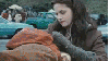 http://i3.glitter-graphics.org/pub/1291/1291343oog583bdl4.gif