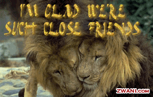 http://www.zwani.com/graphics/friends/images/pic110.gif