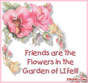 http://www.zwani.com/graphics/friends/images/pic94.jpg