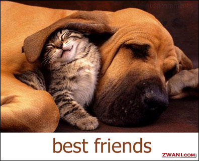 http://www.zwani.com/graphics/friends/images/rty78.jpg