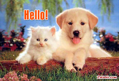 http://www.zwani.com/graphics/hello/images/3.jpg