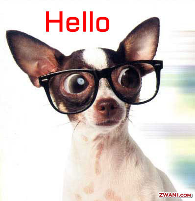 http://www.zwani.com/graphics/hello/images/5878.jpg