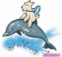 http://img10.glitterfy.com/graphics/174/dolphin_and_dog.gif