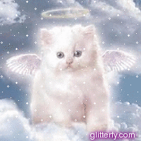 http://img10.glitterfy.com/graphics/33/angel_kitty.gif