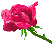  http://dl10.glitter-graphics.net/pub/756/756800kvc59167cx.gif 