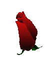  http://dl4.glitter-graphics.net/pub/91/91164fbw7illbwk.gif 