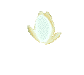  http://dl8.glitter-graphics.net/pub/1139/1139778x3302z22jh.gif 