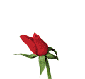  http://dl8.glitter-graphics.net/pub/752/752608gzph237hvj.gif