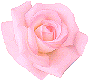 http://dl9.glitter-graphics.net/pub/1141/1141869u3r2zgixz1.gif 