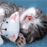 http://dl7.glitter-graphics.net/pub/789/789027bvy6herysr.gif