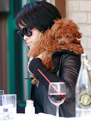 http://img2.timeinc.net/people/i/2007/startracks/071029/rihanna300x400.jpg