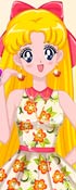 Sailor Scouts Summer Style