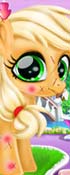Cute Pony Care Game