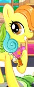 Little Pony Dream House