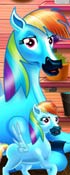 Rainbow Dash And The Newborn Baby