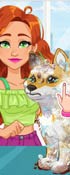 Jessie's Shiba Dog