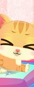 Kitty Fun Care