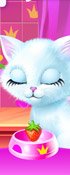 Princess Kitty Care