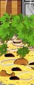 Pilau Rice