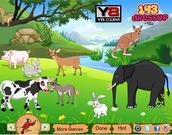 Jungle Animals Decor