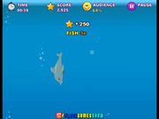 My Dolphin Show Walkthrough