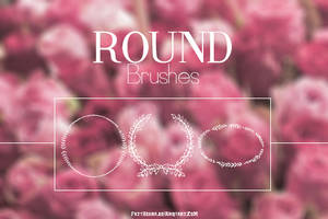 | Round Brushes | Fatty.-