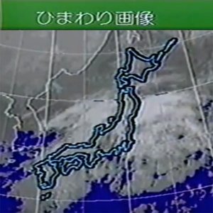 Image for 'ひまわり画像'