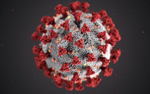 Viirus SARS-CoV-2
