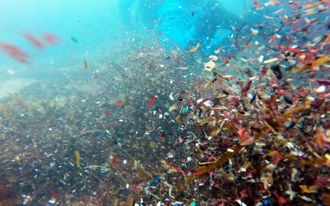 Mikroplastiks loetakse vähem kui viie millimeetrise läbimõõduga plastiosakesi, sellest suurem osa on aga veel kuni sada korda väiksema läbimõõduga ehk silmale nähtamatu.