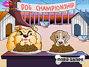 Dog Championship