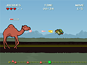 Jontron: Bird vs. Camel