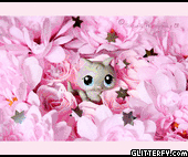 http://img34.glitterfy.com/251/glitterfy-flpbk0710565171023934.gif