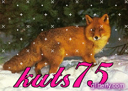 http://img30.glitterfy.com/22/glitterfy113006593D33.gif