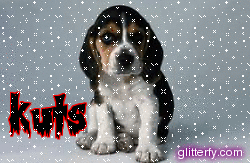 http://img30.glitterfy.com/23/glitterfy104353939D32.gif