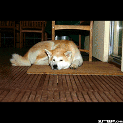http://img34.glitterfy.com/277/glitterfy-flpbk04042340797934.gif
