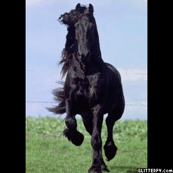 http://img34.glitterfy.com/29/glitterfy-flpbk29132520998034.gif