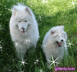 http://img35.glitterfy.com/364/glitterfy063728392D30.gif