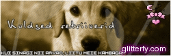 http://img35.glitterfy.com/6/glitterfy113954487D36.gif