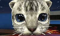 Simulator Kucing 3D