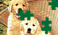 Jigsaw Puzzle: Cute Puppies