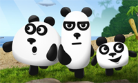 Drie panda's