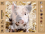 Jigsaw Puzzle Deluxe