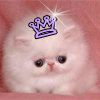 http://dl6.glitter-graphics.net/pub/515/515076ha7dfx7yw7.jpg
